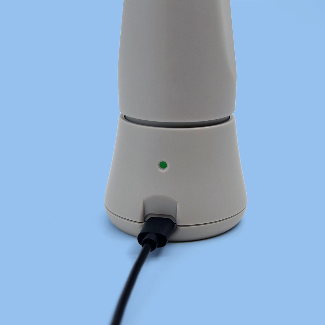 Opladerstation